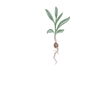 Melinda Myers Melinda Myers