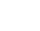 FSI Logo FSI Logo