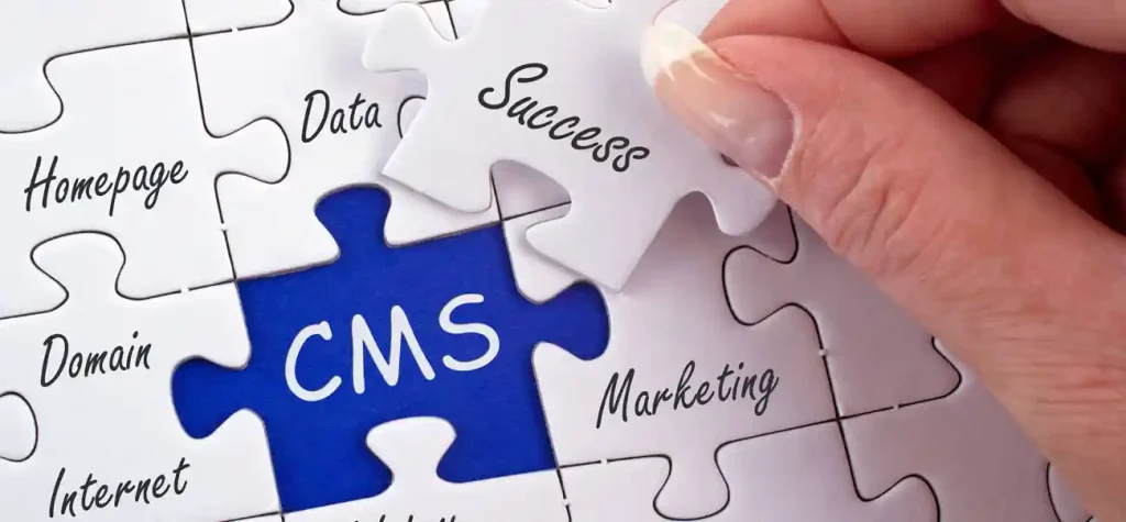 CMS puzzle piece