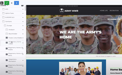 Screen shot of army website