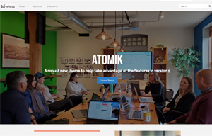Atomik Concrete CMS theme